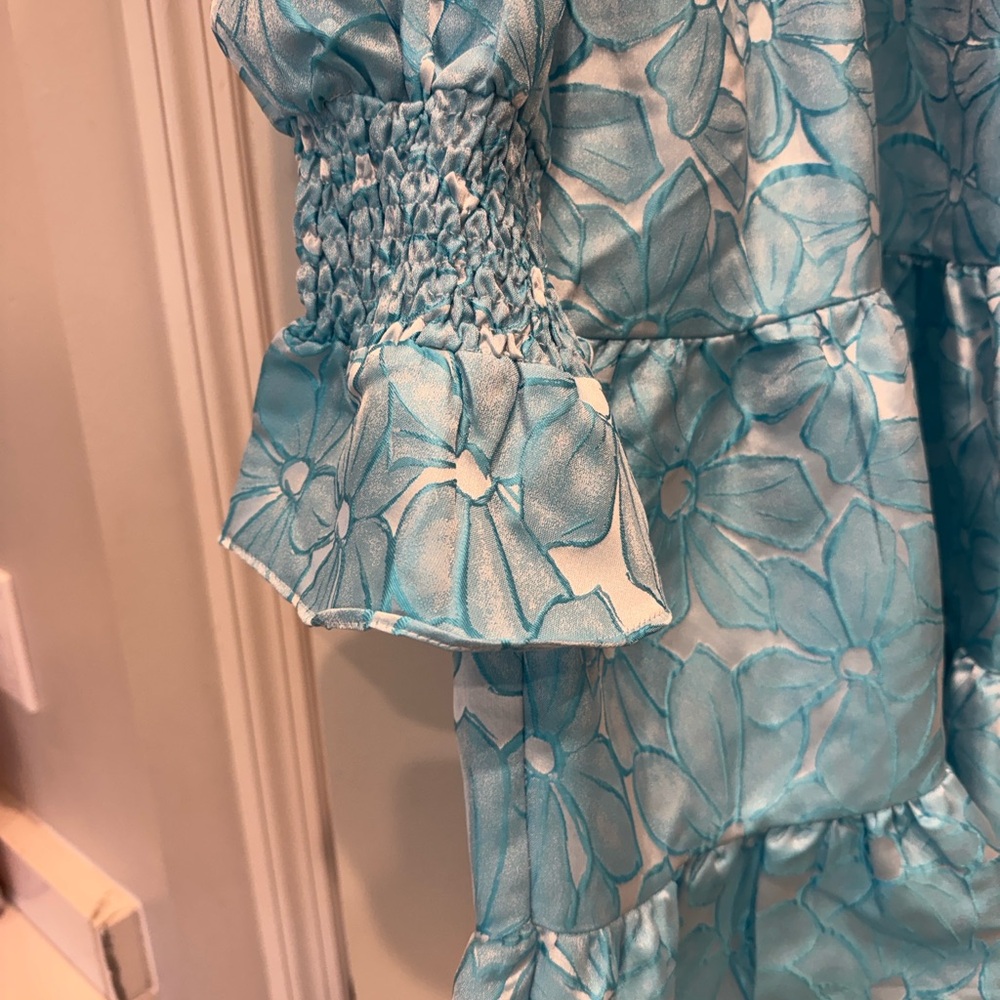 NWT Tuckernuck Pomander Place Blue Daisy Jacquard Kenzo Dress- Small - Picture 7 of 9
